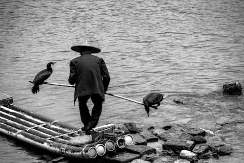 Grayscale Photo of a Man Holding a Stick with Birds