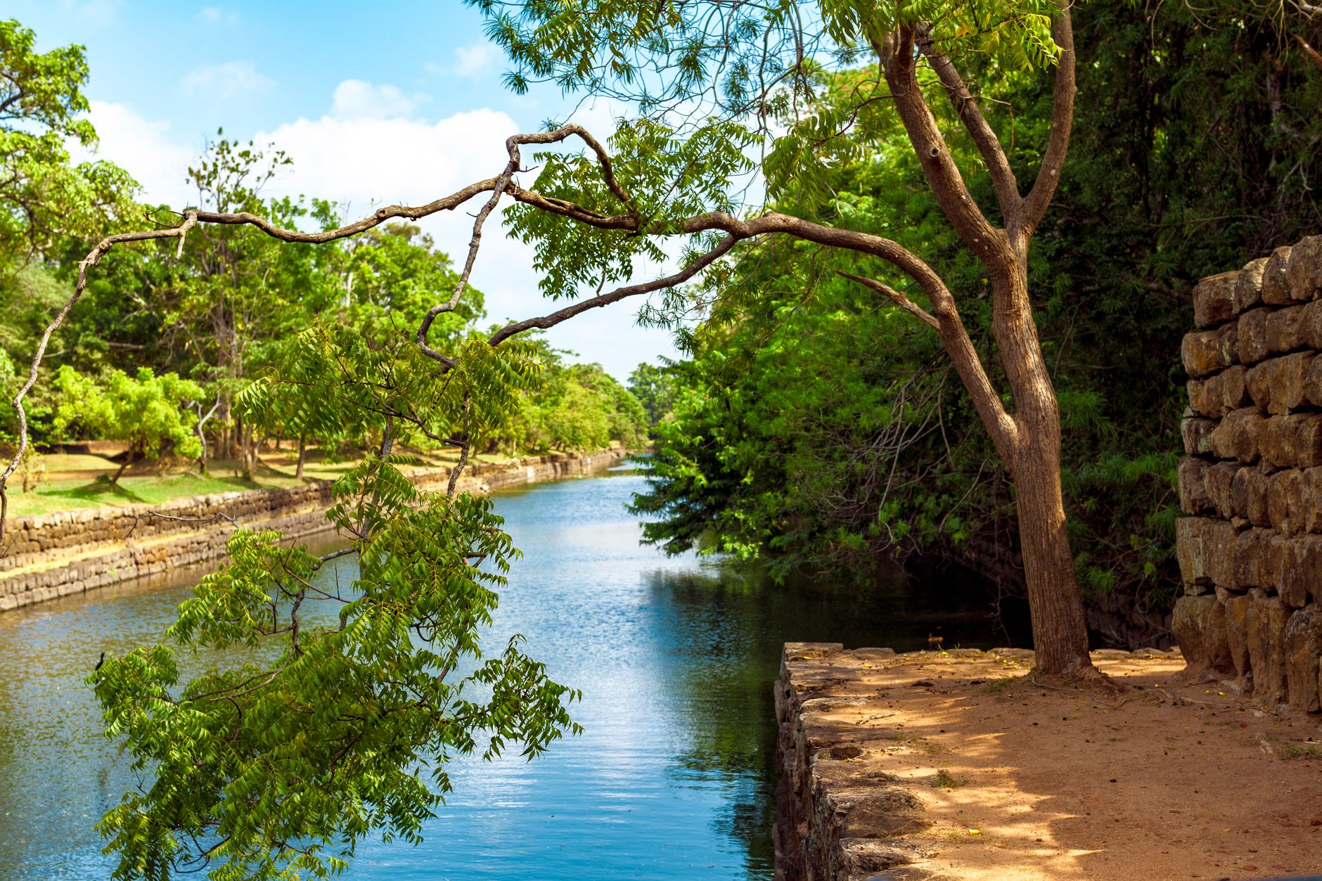 Is Habarana Worth Visiting? An Honest Take