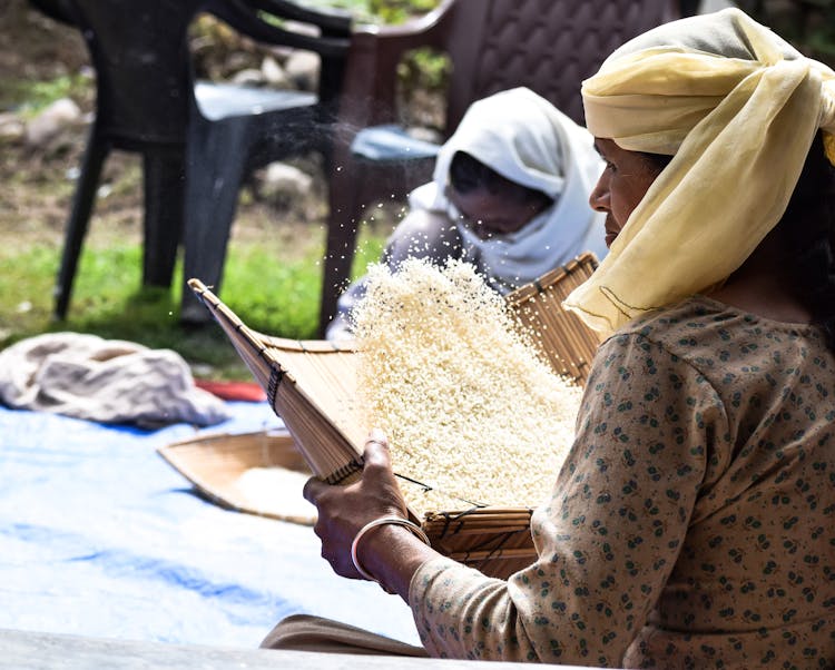 Woman Winnowing Rice