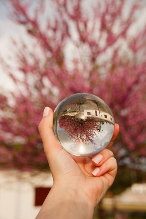 Free Photo of a Person's Hand Holding a Crystal Ball Stock Photo
