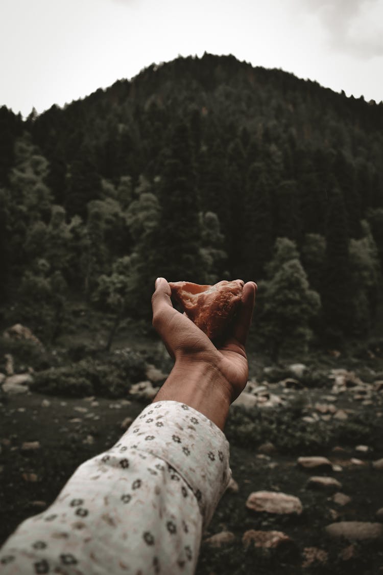 Hand Holding A Bitten Bread