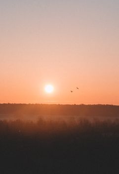 A breathtaking sunrise with a tranquil landscape view in Licheń Stary, Poland. Perfect for nature enthusiasts.