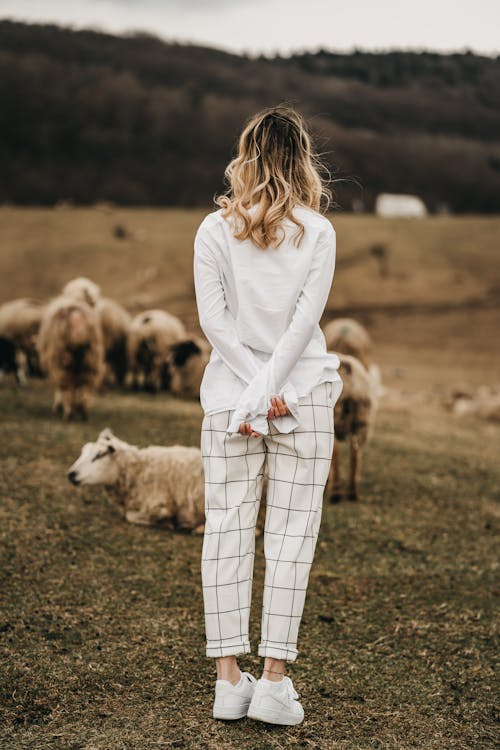 Unrecognizable stylish woman against sheep in countryside field