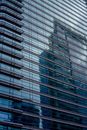 From below of contemporary multistory office skyscraper with reflection of building located in business district
