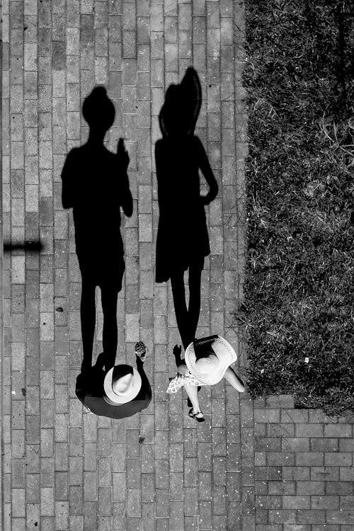 Black and white top view of anonymous couple casting shadows on pavement while having stroll on sunny day in summer