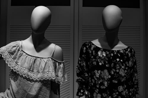Free Dummies in elegant dresses placed in showcase Stock Photo