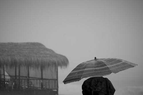 Black and white back view of anonymous person under umbrella standing near bungalow on rainy day