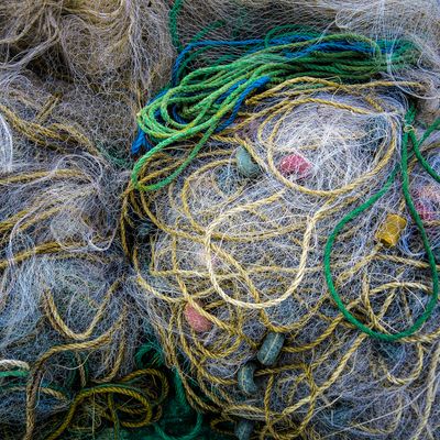 Microplastics in Drinking Water: What Tests Reveal