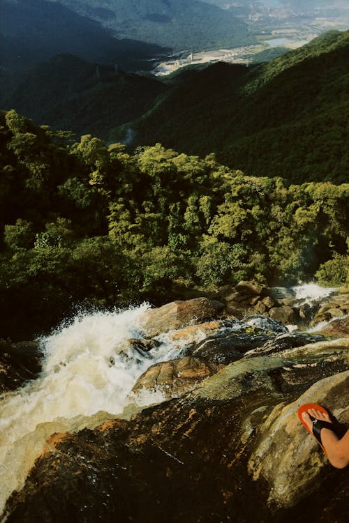 River Cascading Down the Rocks into the Trees