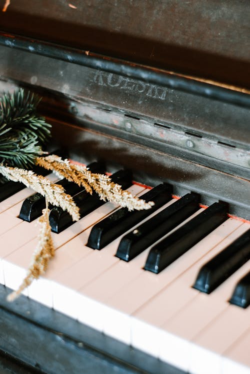 Close-Up Shot of Piano Keys