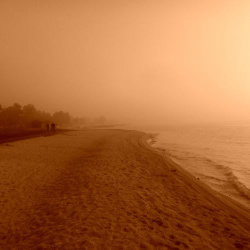 Foto d'estoc gratuïta de amb boira, platja