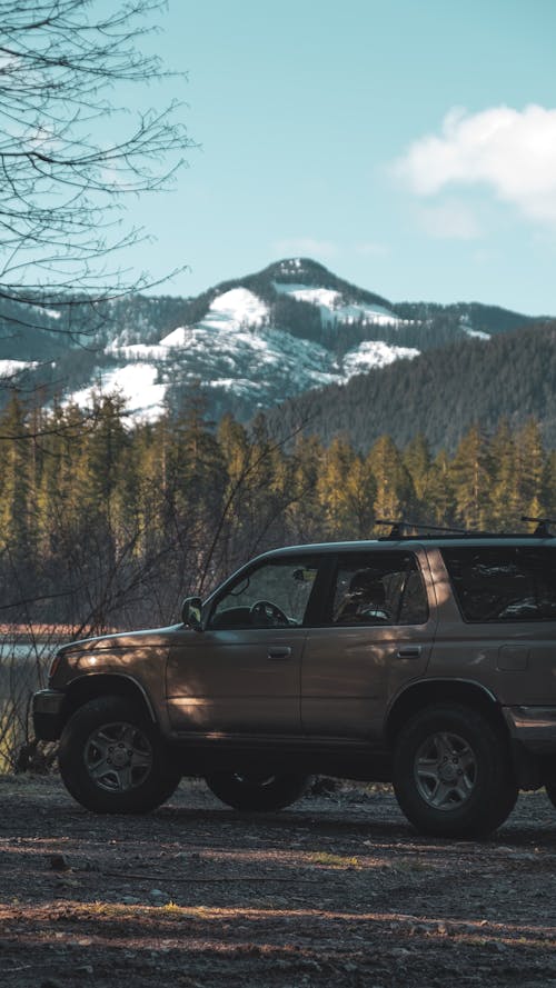 Fotos de stock gratuitas de 4x4, al aire libre, clima frío