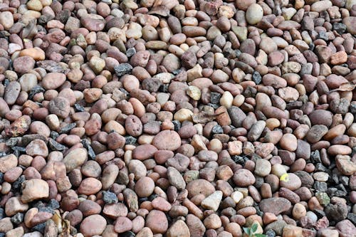 Free Cobblestone on the Shore Stock Photo