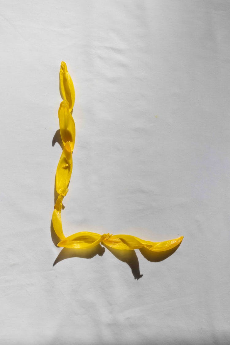 An Alphabet Made Of Yellow Flower Petals