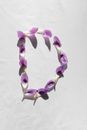 An Alphabet Made of Purple Flower Petals