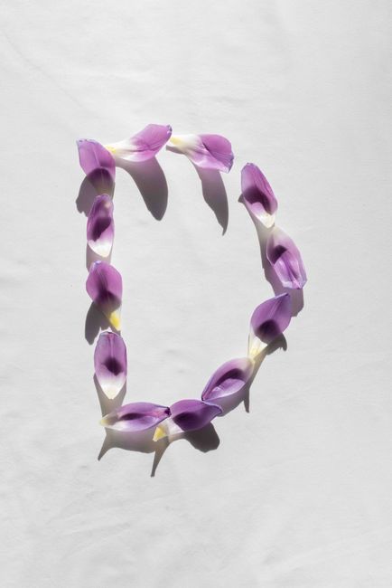 Artistic letter D formed with vibrant purple flower petals on white background.