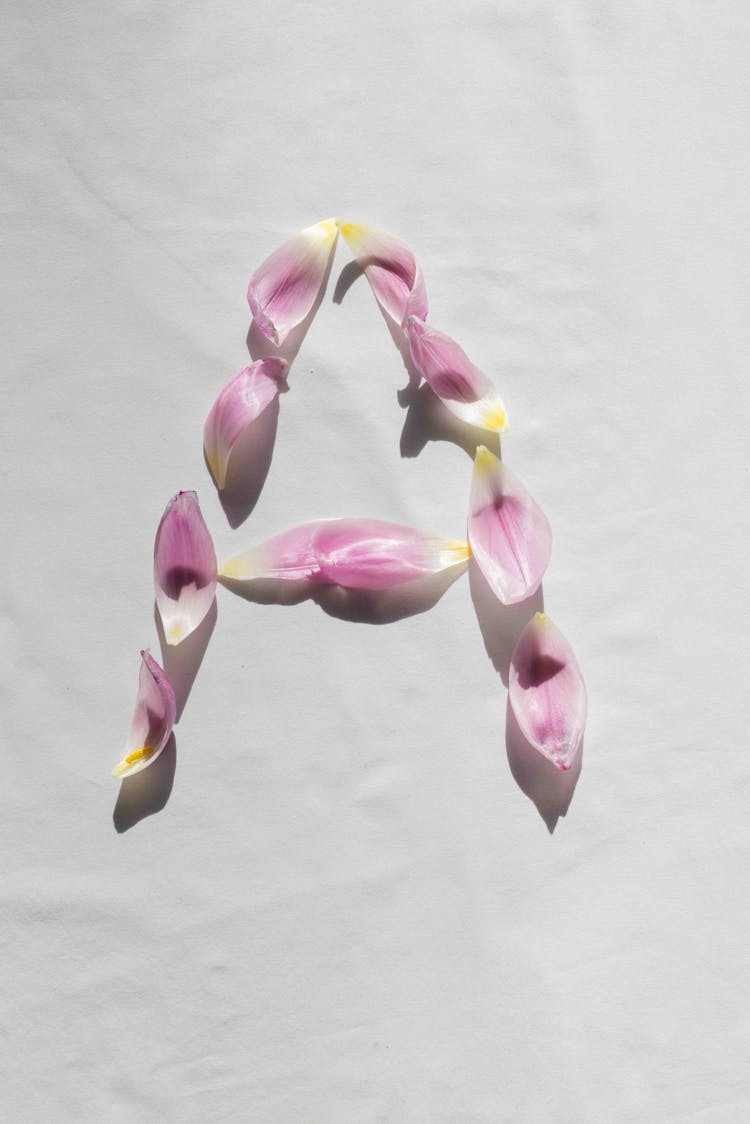 Flower Petals Forming An Alphabet Letter