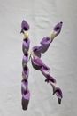 Purple and White Rope on White Surface