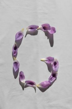 Purple flower petals arranged in the shape of letter C on a white surface.