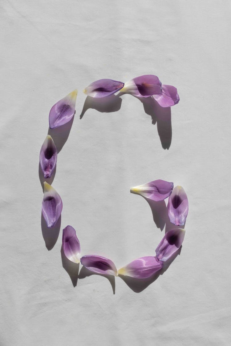 Purple Flower Petals In Alphabet