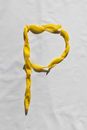 Yellow Strap on White Textile