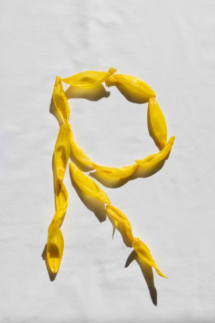 Artistic letter 'R' made from yellow flower petals on a white surface, perfect for typography and design.