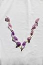 An Alphabet Made of  Purple Flower Petals