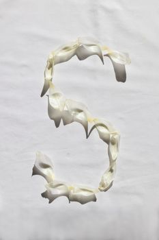 Creative still life photo of an S formed with white petals on a white background.