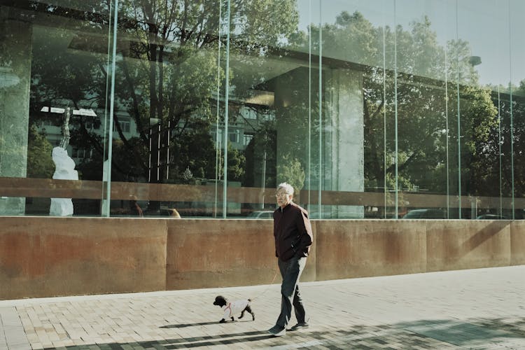 Elderly Man Walking On The Sidewalk With His Dog