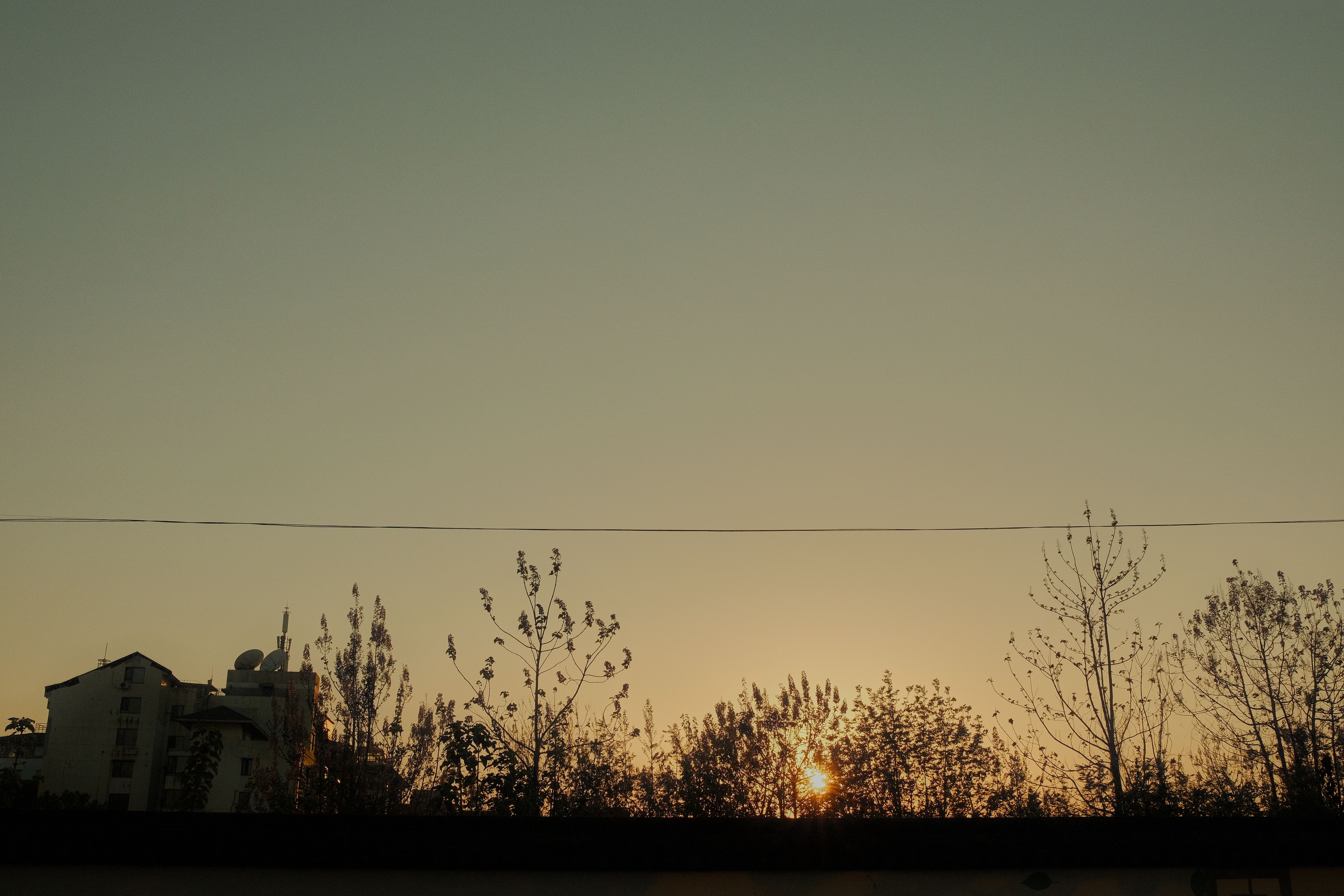 A peaceful sunrise scene over urban skyline with silhouetted trees and buildings.