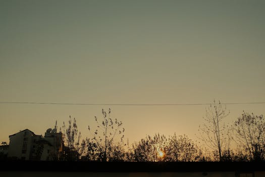 A peaceful sunrise scene over urban skyline with silhouetted trees and buildings.