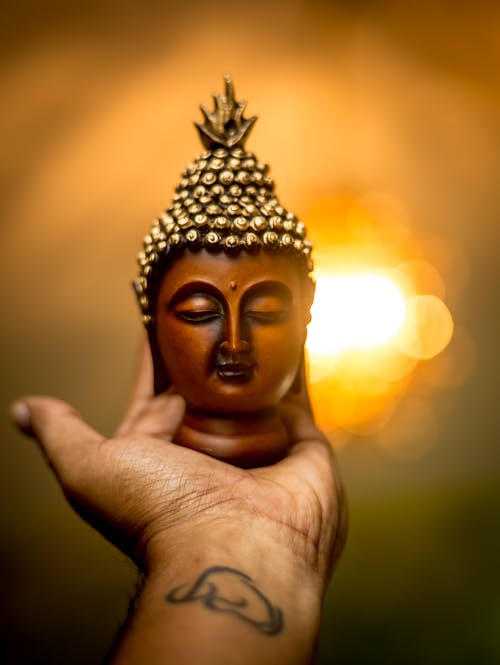 Free stock photo of buddha, buddhism, hand