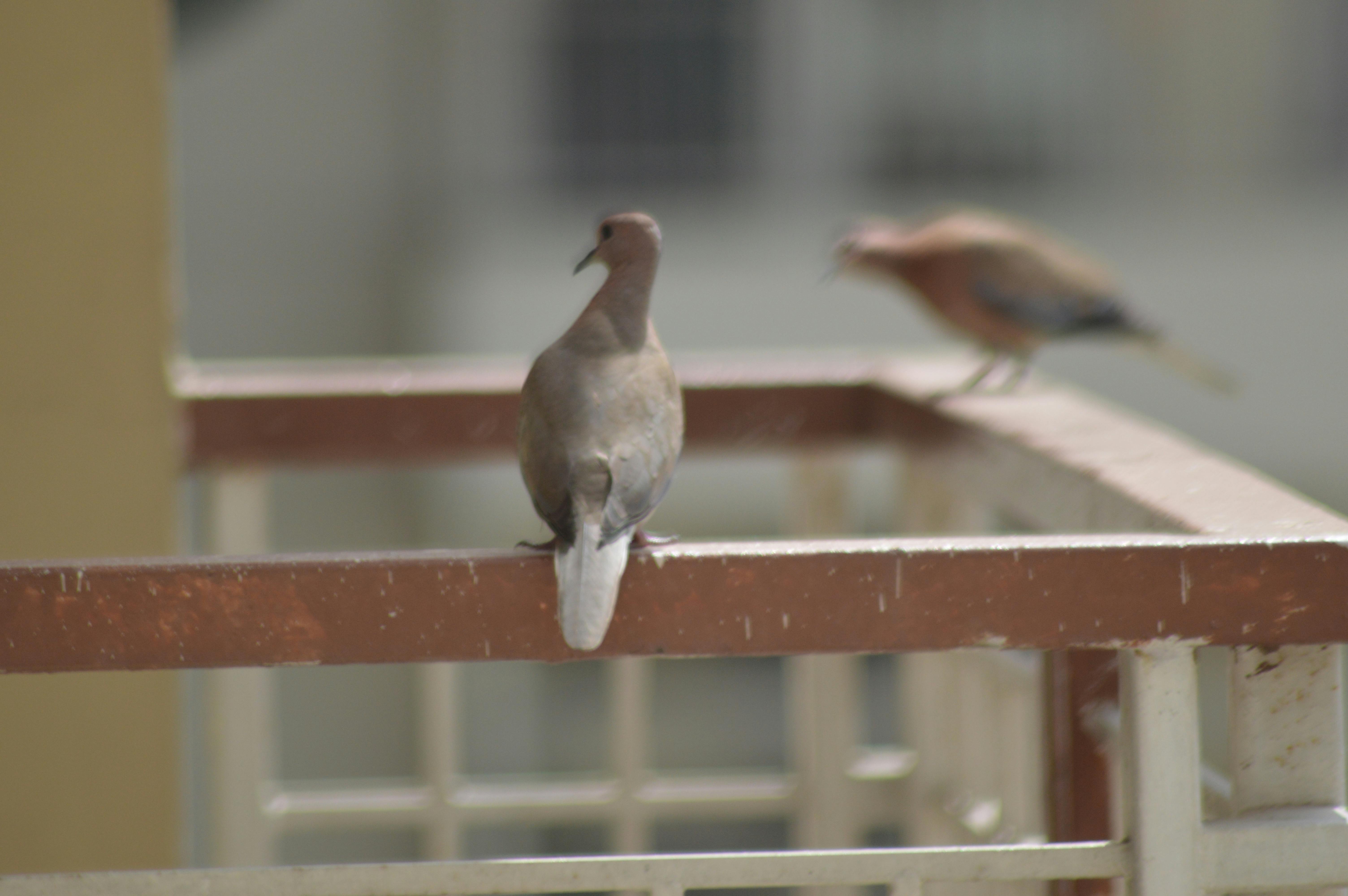 Double Cleansing: Ritual Malam Wajib Penghapus Polusi dan Kunci Skincare Efektif