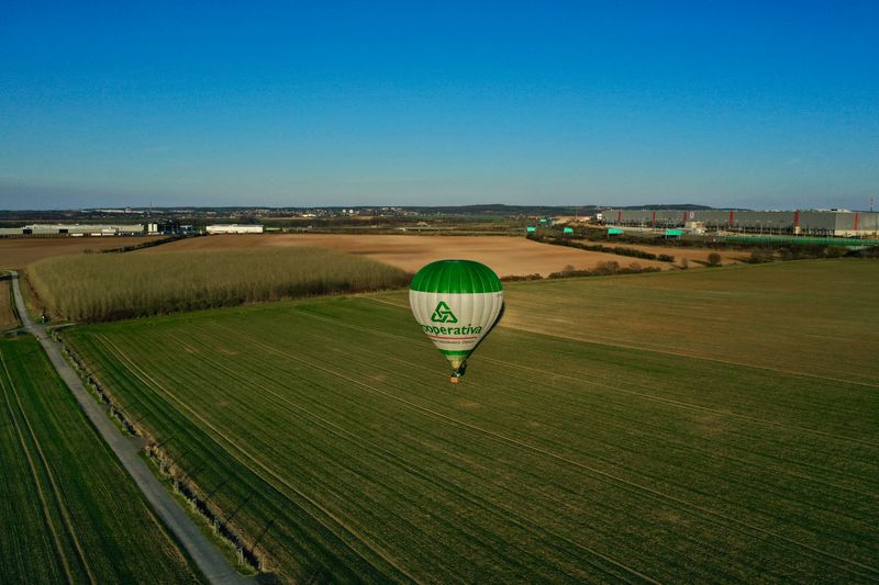 Hot-air balloon over the vineyards