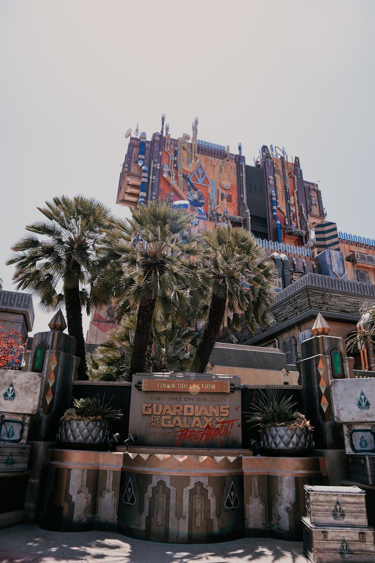 Banner Of A Business And Palm Trees