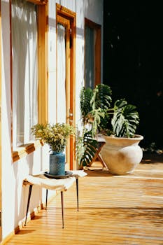 A bright patio showcasing modern decor with potted plants and natural light.