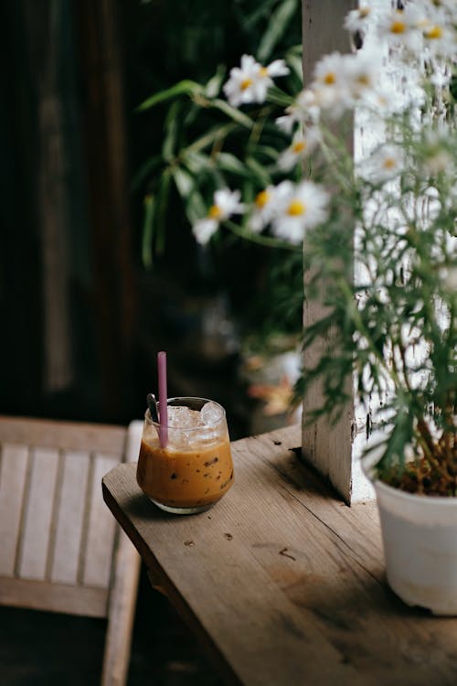 An Ice Coffee Drink Besides a Potted Plant 