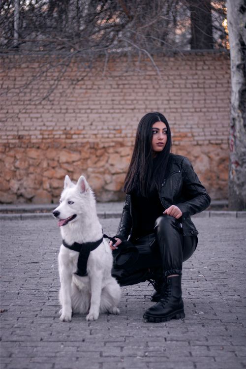 Free Woman in black leather outfit sitting with a white dog on a street. Stock Photo