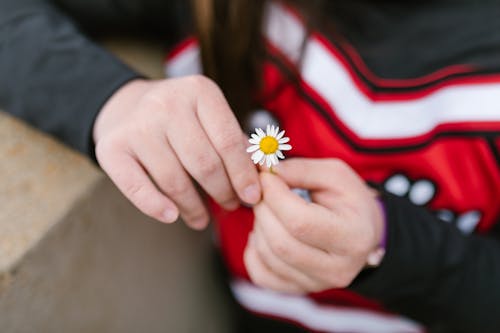 Photos gratuites de doigts, fleur, flore