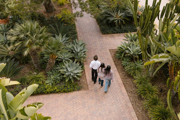 A Family Walking On A Pathway In The Garden