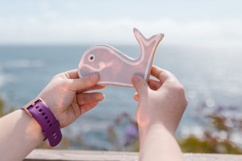 Pessoa Segurando Um Brinquedo De Peixe De Plástico Azul