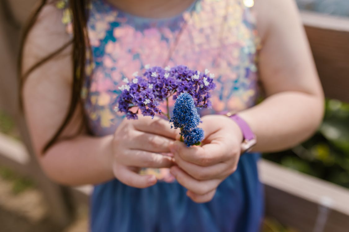 A Person Holding Purple and Blue Flowers