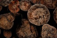 Stacked Logs with Molds