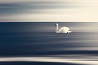 Free stock photo of abstract background, baltic sea, beach