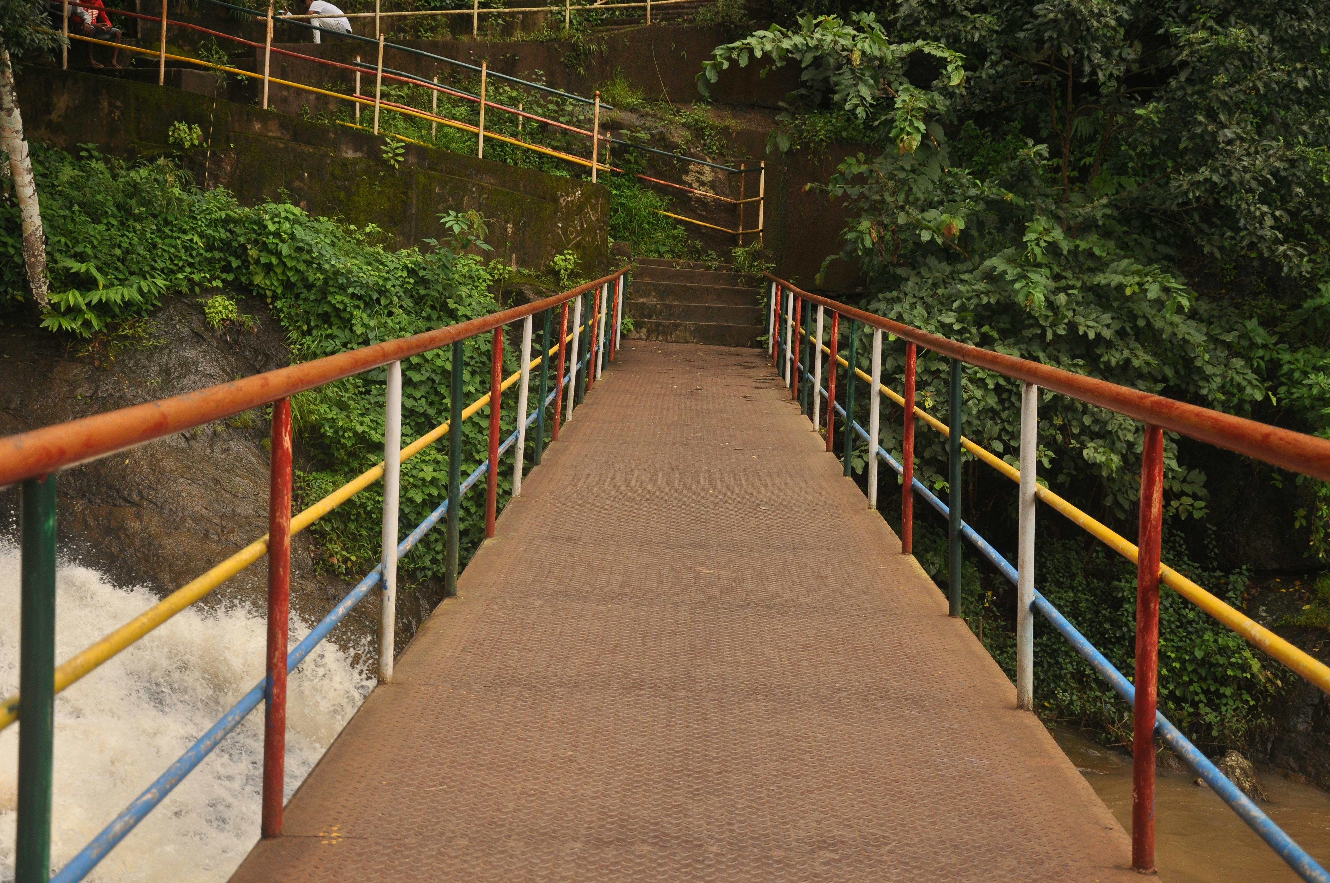 A fantasy warrior in ornate armor holding a glowing sword, poised for battle in a mystical forest.