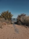 Green Grass on Brown Sand Near Gray Wooden House