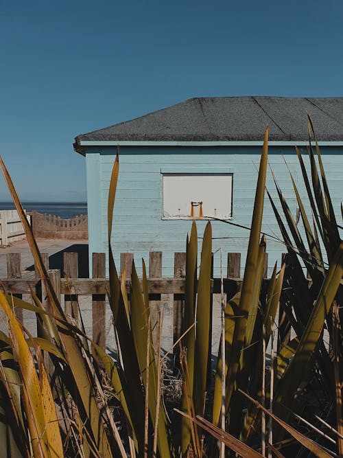 Green Plants near the Wooden Fence and Blue House