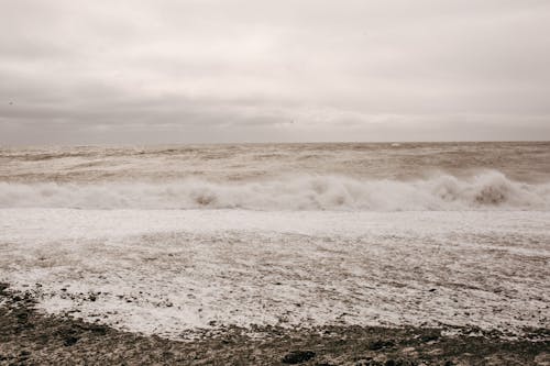 Foto profissional grátis de à beira-mar, água, beira mar