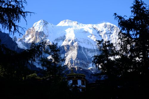 Free Stunning view of a snow-capped mountain rising above dark silhouetted trees. Stock Photo