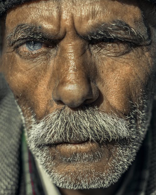 Free Portrait of an Elderly Man  Stock Photo